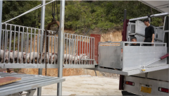 沉点打制立体式尺度化养